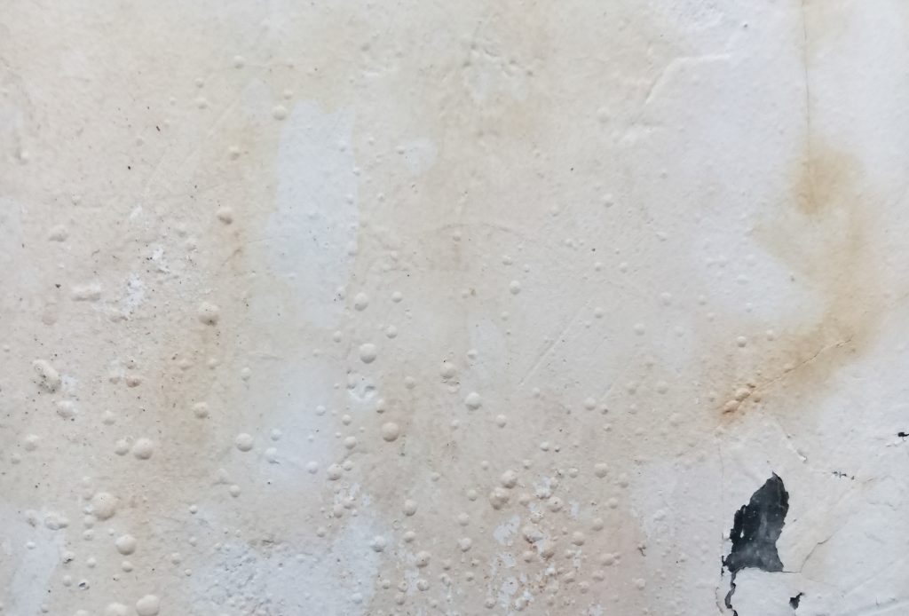 Painter checking rising damp on a Cape Town wall with bubbling paint and salt marks